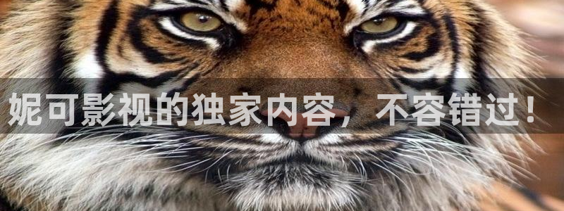 秋霞成人理论电影：妮可影视的独家内容，不容错过！