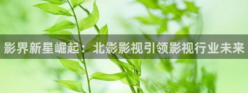 理论电影影院：影界新星崛起：北影影视引领影视行业未来
