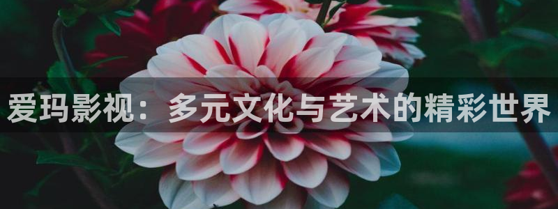 神马理论影视网：爱玛影视：多元文化与艺术的精彩世界