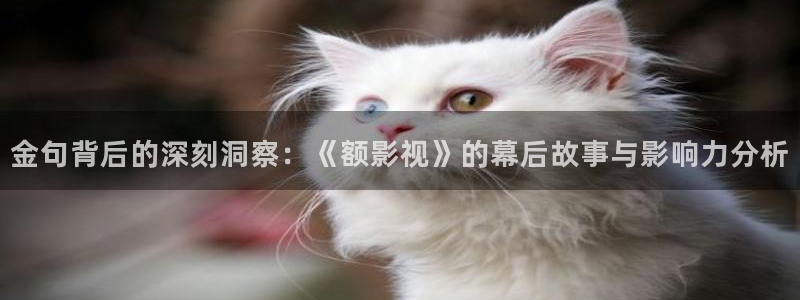 欧美成人理论电影：金句背后的深刻洞察：《额影视》的幕后故事与影响力分析
