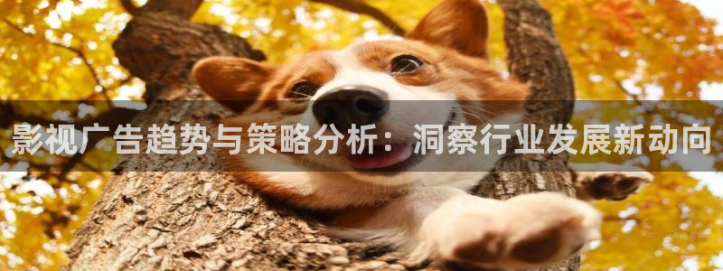 2019天狼影视韩国理论：影视广告趋势与策略分析：洞察行业发展新动向