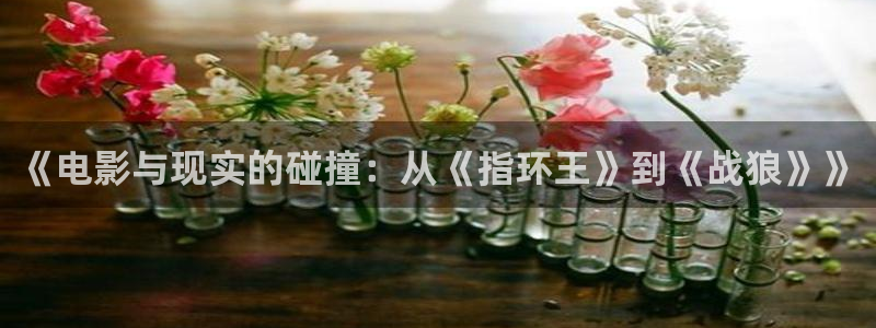 午夜性理论电影：《电影与现实的碰撞：从《指环王》到《战狼》》
