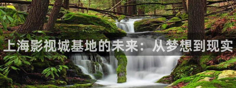 神马电影理论片：上海影视城基地的未来：从梦想到现实