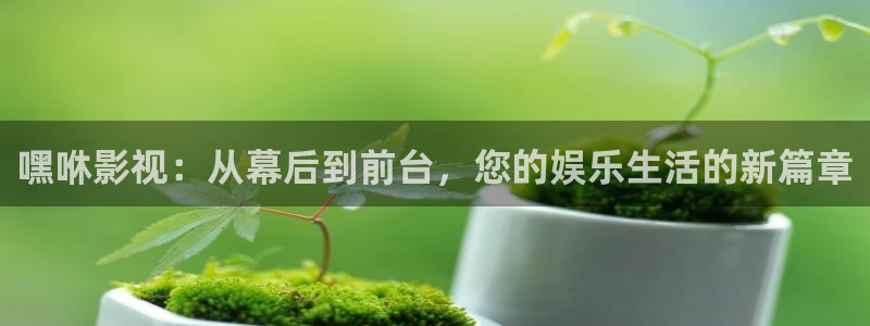 韩国理论电影年轻的阿姨：嘿咻影视：从幕后到前台，您的娱乐生活的新篇章