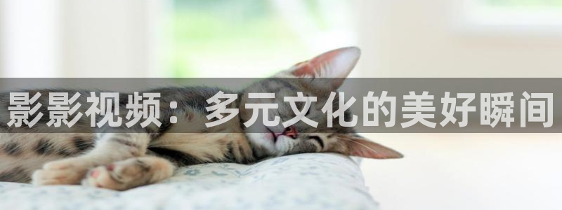 理论电影2016：影影视频：多元文化的美好瞬间