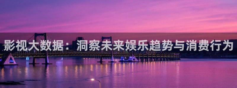 理论免费电影在线观看：影视大数据：洞察未来娱乐趋势与消费行为