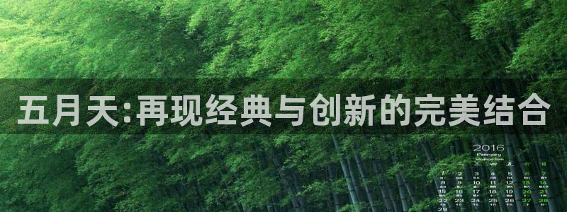 韩国理论电影不卡网站：五月天:再现经典与创新的完美结合